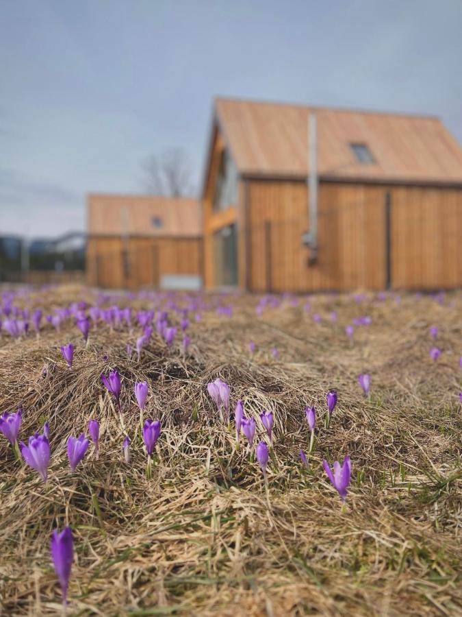 Tatry Zachodnie Ferienhaus Witów